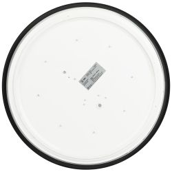 Светильник потолочный светодиодный ЭРА Relict 38 SPB-6-40 4К BK 40W 4000K Черный | Светильники SPB-6 без ДУ