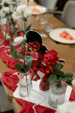 Lady Bug Party