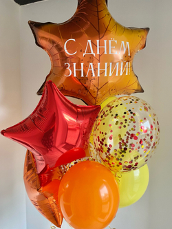 Воздушные шары на 1 сентября №1087