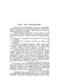 Определитель лишайников БССР. Часть 1. Кустистые и листоватые формы | М.П. Томин