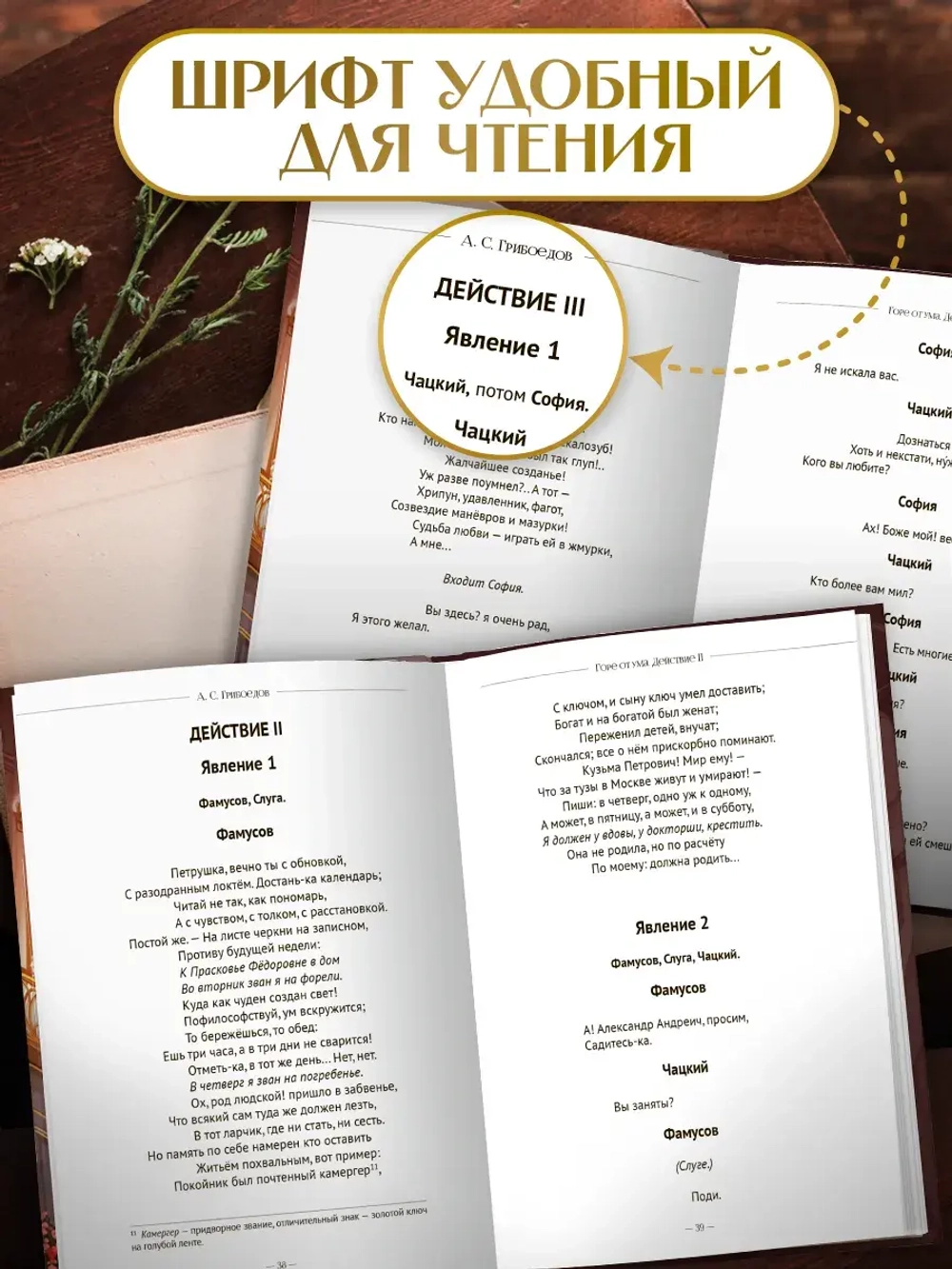 Горе от ума