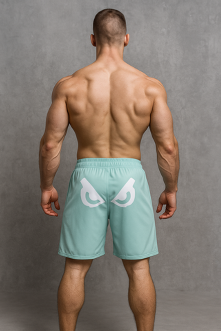 Шорты для MMA Bad Boy Pro Series 2.0 серо-синий