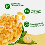 Хлопья Хрутка Готовый завтрак 700г