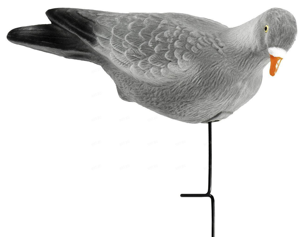 Чучела голубя Lucky Duck (3 шт.)