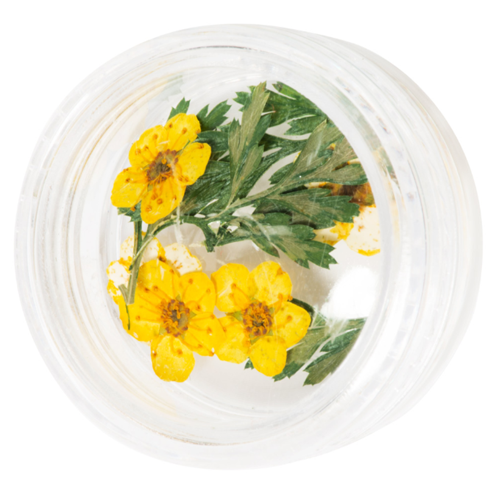 Снимок экрана 2024-07-09 124948