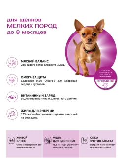 Корм для щенков мелких пород, с говядиной, 800 гр, QUATTRO