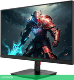 Игровой монитор Titan Army P2410R