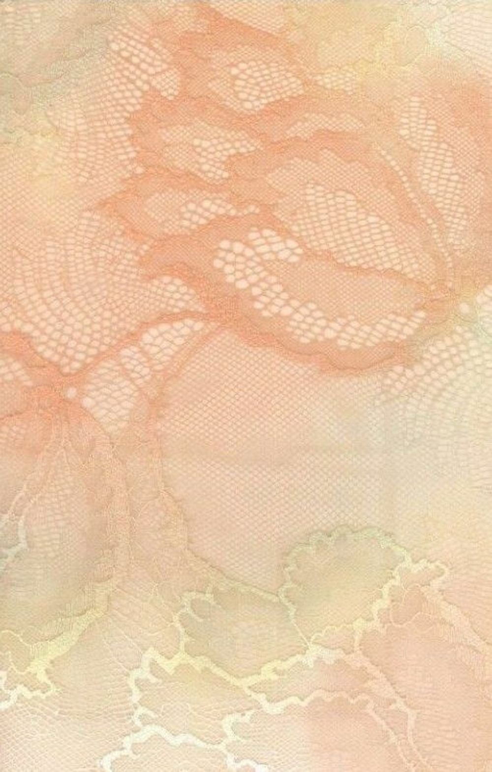 Бюстгальтер-бралетт Loretto из двухцветного кружева (Размер: 80B) (Цвет: персиковый)