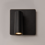 Настенный светильник (бра) Maytoni C040WL-L3B3K