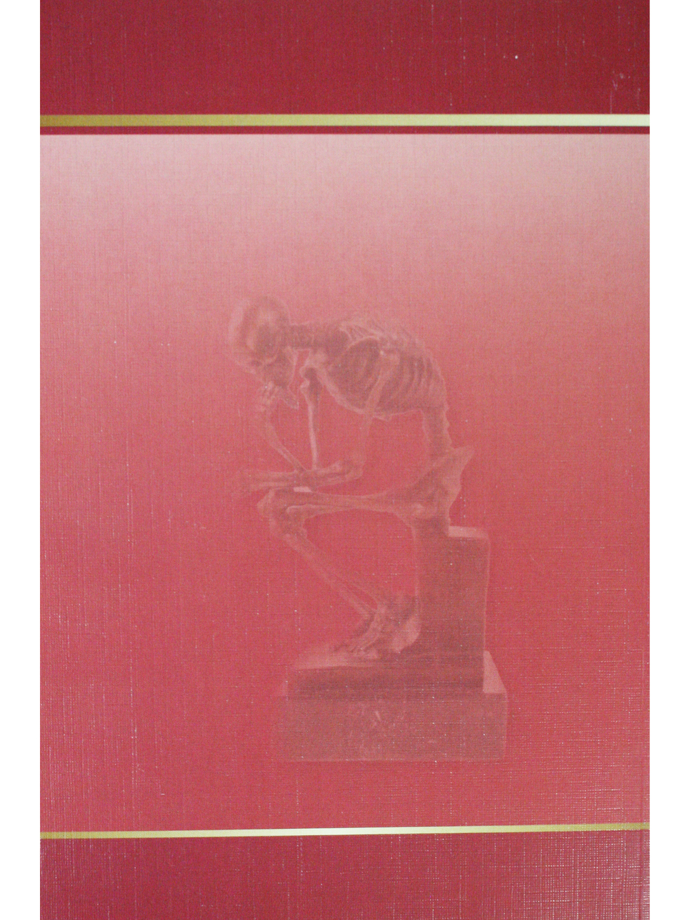 Anatomy of Bone System: The manual for medical students / Анатомия костной системы. Учебное пособие для медицинских вузов
