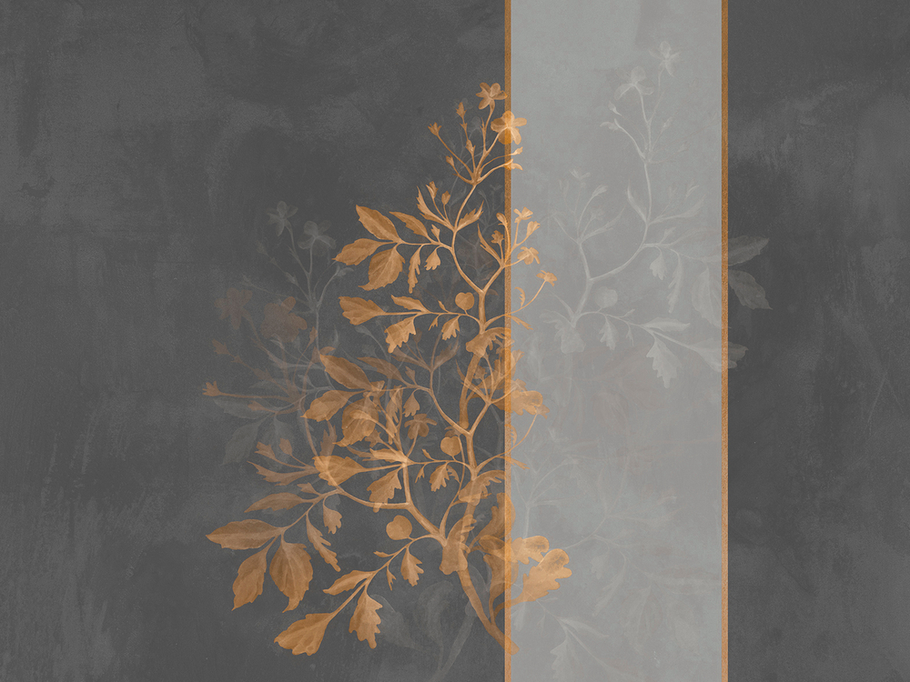 Коллекция BELLA