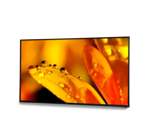 Профессиональный дисплей EliteBoard LK-65US1AX