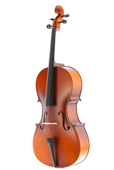 Виолончель 4/4 Fabio F-019A