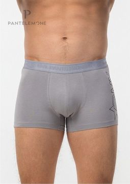 Трусы мужские боксеры Pantelemone PMH-1539, серый