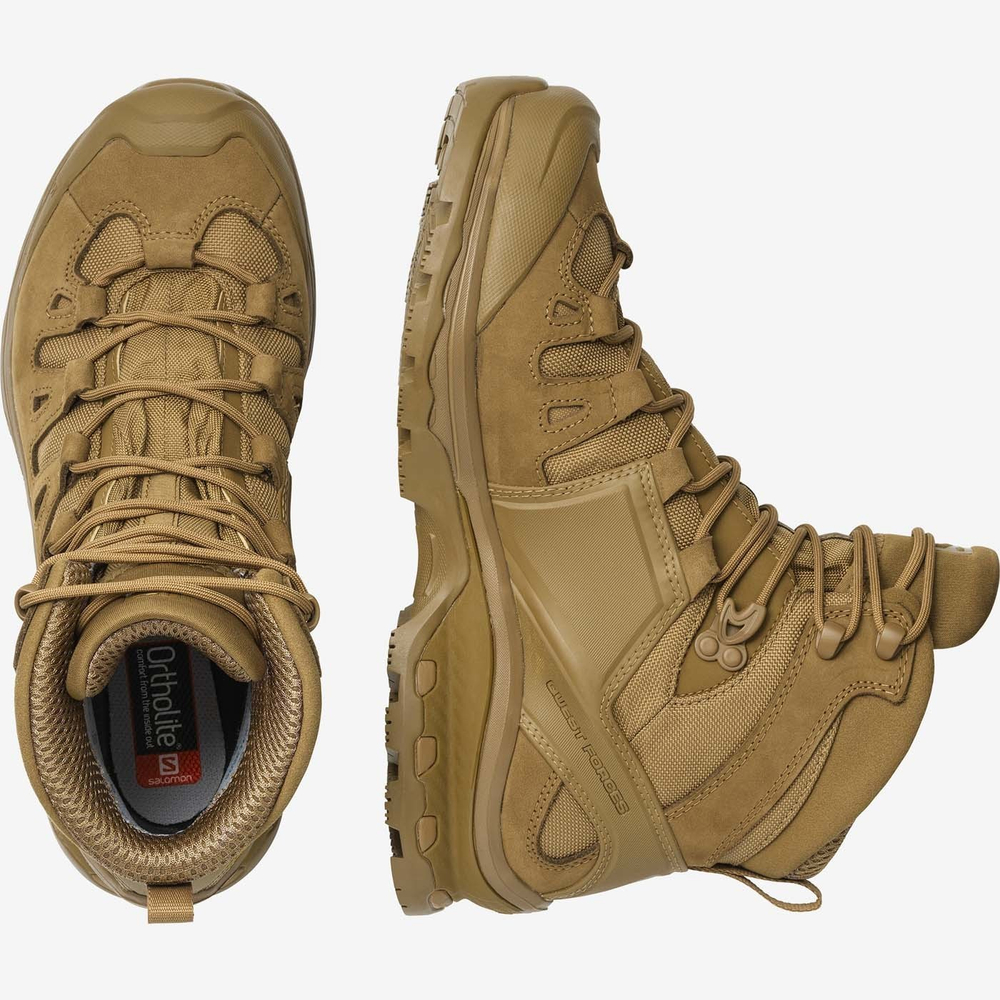 Forces quest 4d gtx hotsell