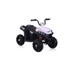 Электроквадроцикл T111TT