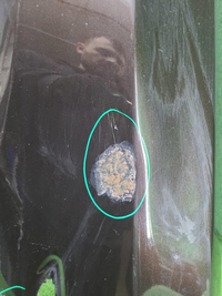 Крыло переднее левое BMW X3 F25 (2010-2017)