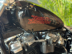 Мотоцикл Harley-Davidson Softail Standard 2024 с полным НДС