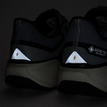 кроссовки Nike Air Zoom Pegasus 41 Gtx Light Pumice FQ1356-003