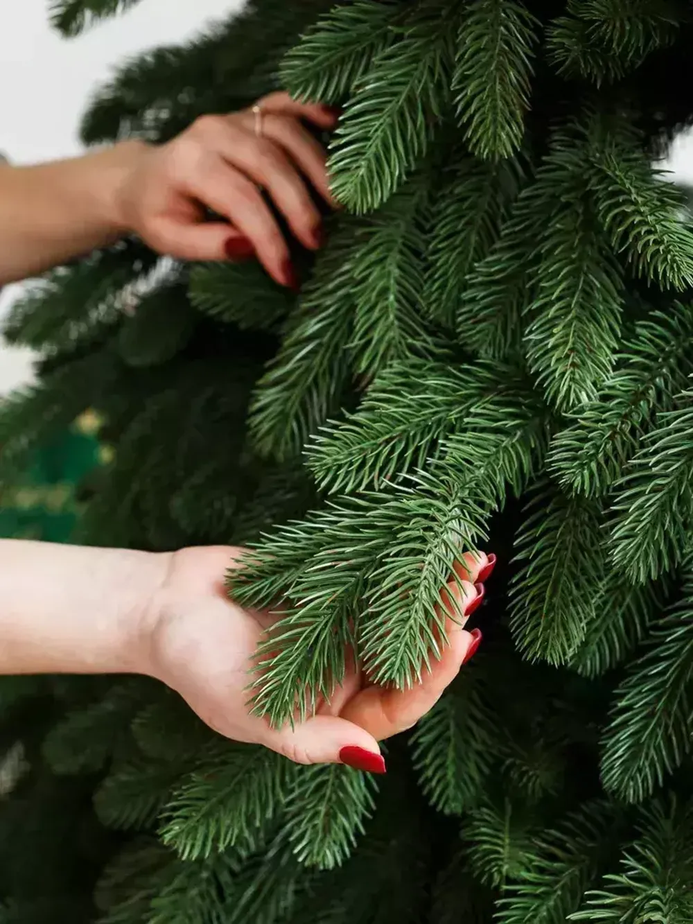 Искусственная ель «Барнелло» (Литая хвоя) 240 см / 2.4 м