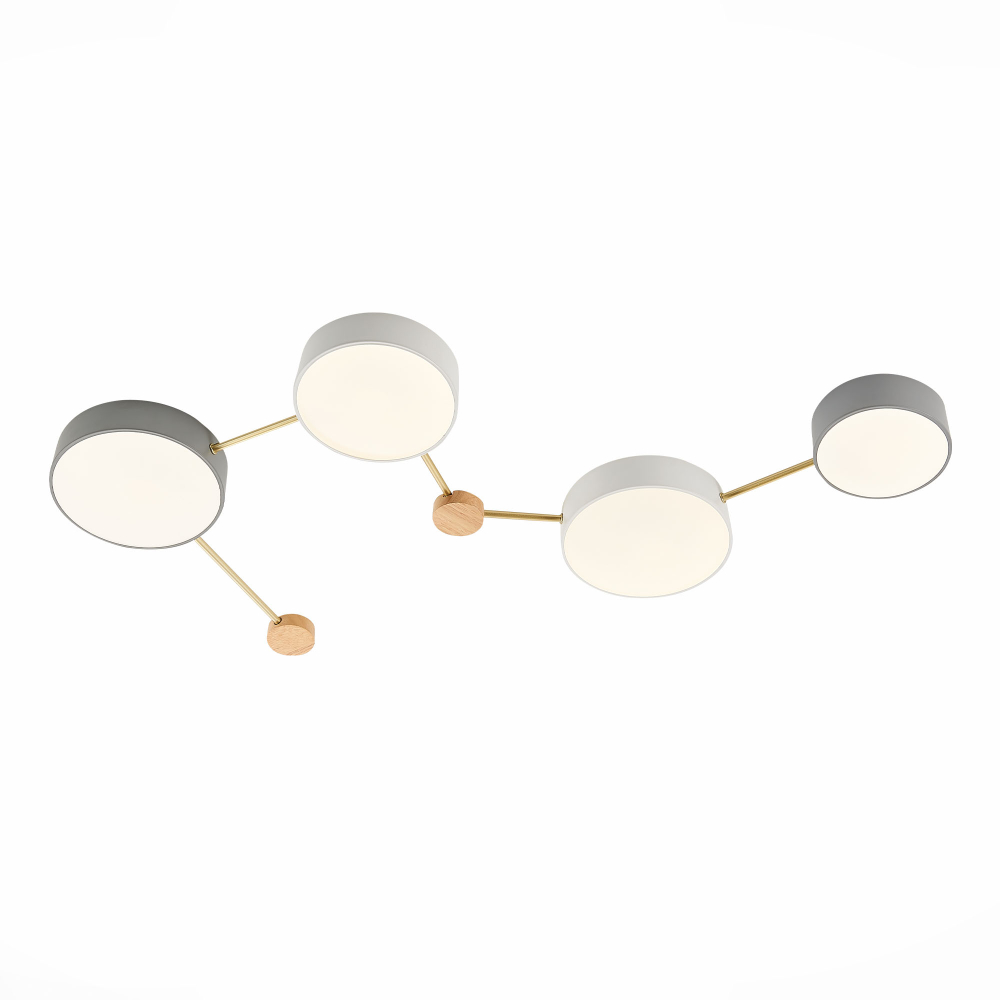 Светильник потолочный Evoluce Dossena SLE600102-04