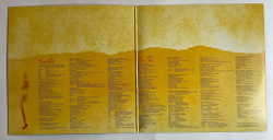 Винтажная виниловая пластинка LP Roger Waters The Pros And Cons Of Hitch Hiking (Italy 1984)