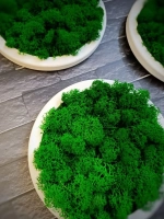 Круглое панно на стену из мха набор 3 шт.