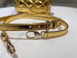 Christian Dior Lady Dior Mini 17 cm