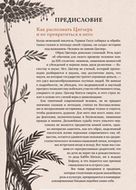 Волшебные и страшные мифы леса. От феникса до Иггдрасиля