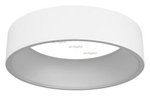Подвесной светильник Arlight SP-TOR-RING-HANG-R460-33W Day4000 (WH, 120 deg) 022147(1)
