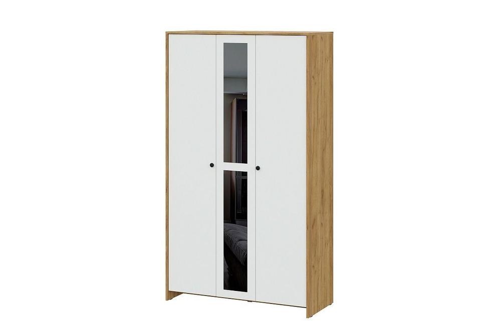 Шкаф для одежды распашной с зеркалом и полками Графит/Белый 120х50х209 см