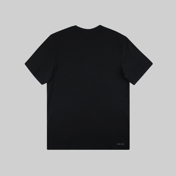 Футболка мужская Jordan Air Wordmark артикул:CK4212-013 - купить в магазине Дайс