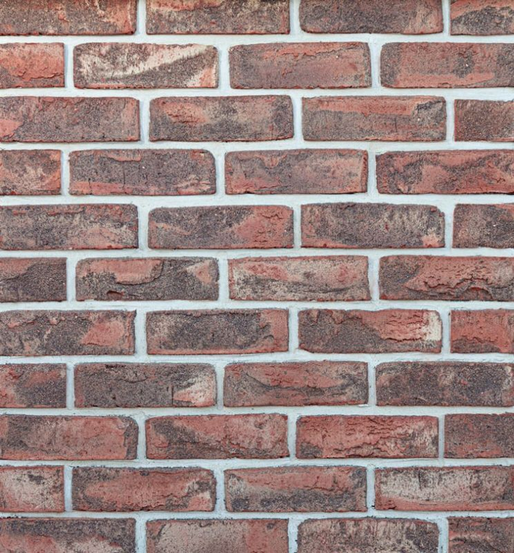 Кирпич Петровский Штандарт WDF Черно-красный