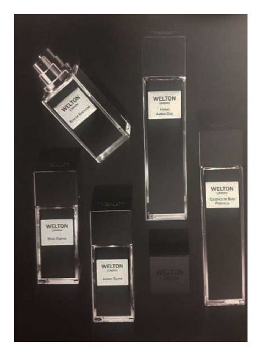 Welton London Essence de Bois Precieux