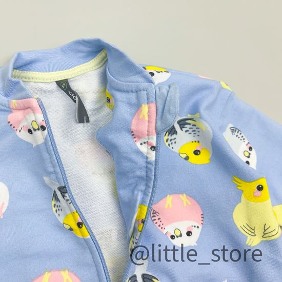 Толстовка из футера "Цветные попугайчики" небесный