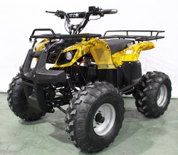 Электроквадроцикл GreenCamel Атакама Т220 (48V 1000W R8 Дифференциал)