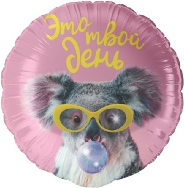 К Шар (18''/46 см) Круг, Это твой день (коала)(БГ-15)