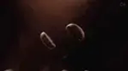 Кофе в зёрнах EGOISTE Espresso, арабика, 1 кг