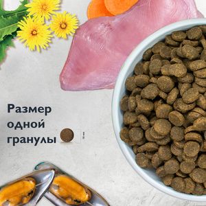 Сухой корм Brit Care Dog Adult M  для взрослых собак средних пород, с индейкой, Здоровые зубы