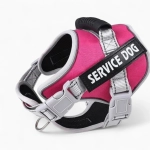 Шлейка и поводок «Service Dog»