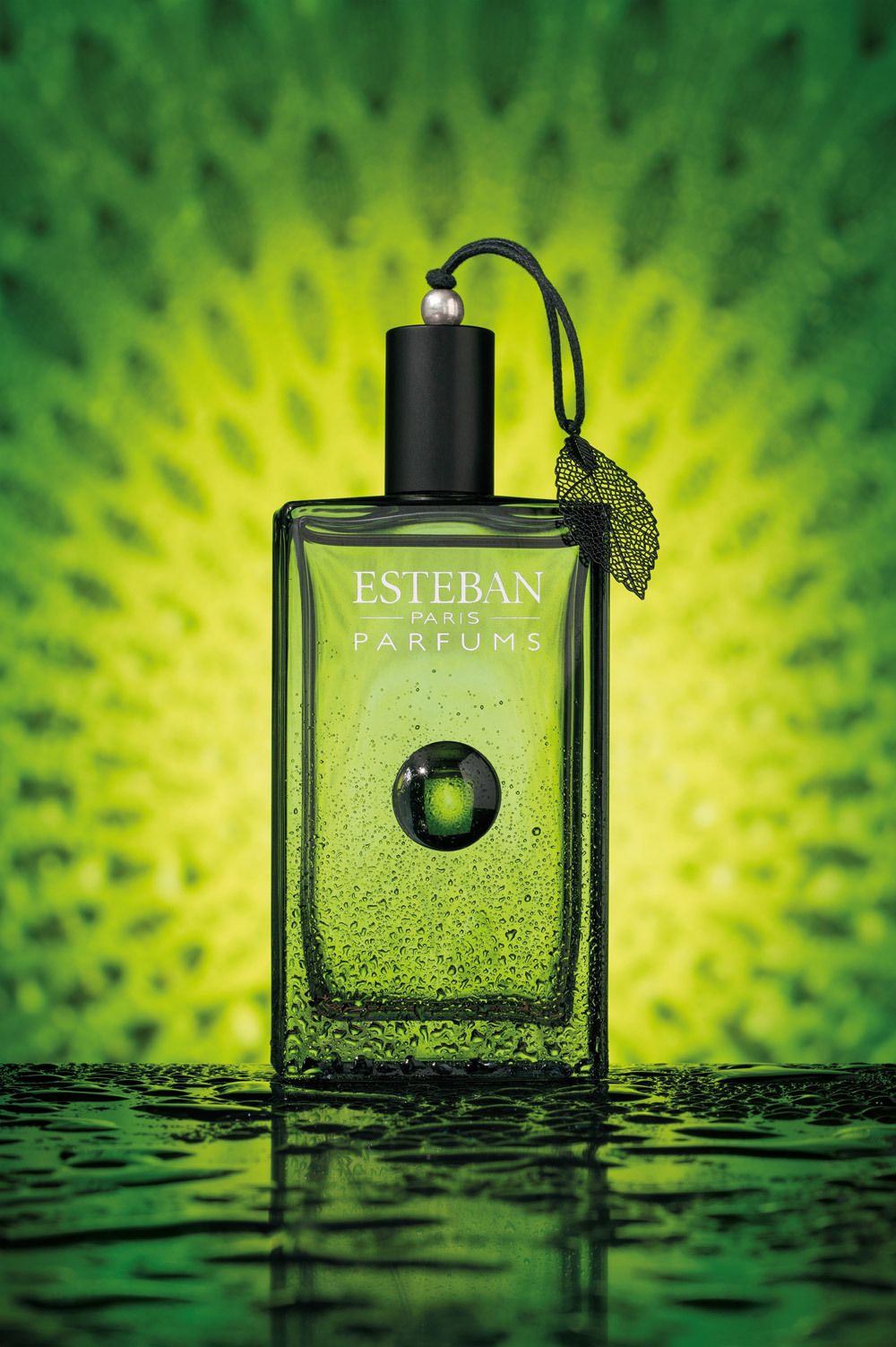 Esteban Songe de Yuzu