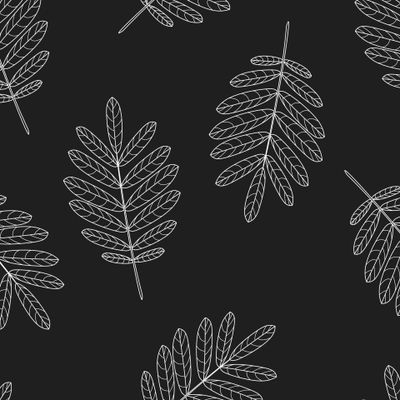 Осенние листья контур