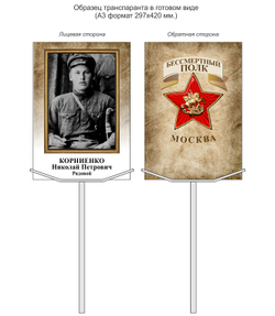 Бессмертный полк-2015. Москва