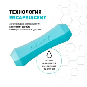 Жевательная палочка Playology SQUEAKY CHEW STICK для собак средних и крупных пород с ароматом арахиса, большая, цвет голубой