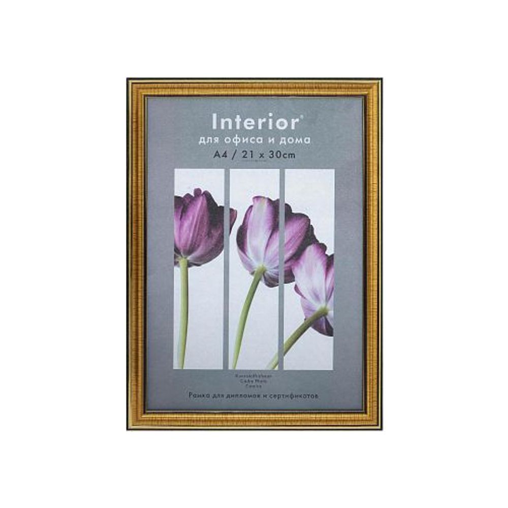 Interior Office 286/296 30*40 золото | Interior Office