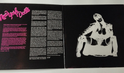 Винтажная виниловая пластинка LP New York Dolls Live In Concert (Paris 1974) (Italy 2003)