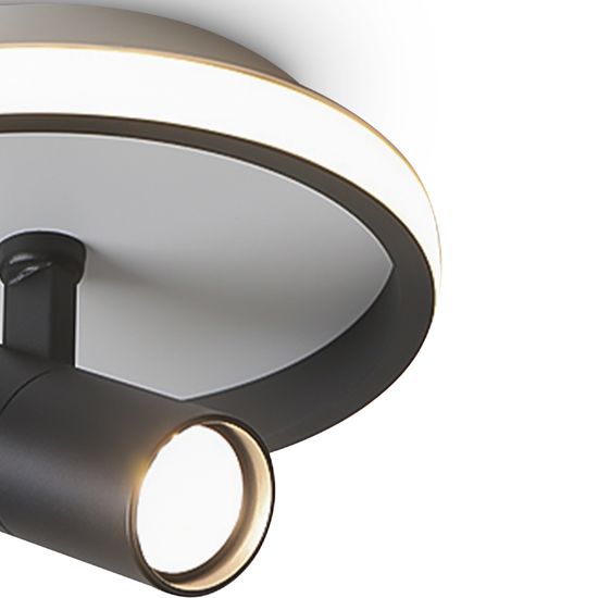 Потолочный светильник Freya FR6040CL-L14B