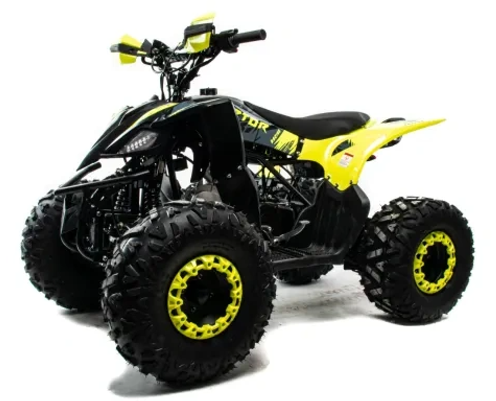 Квадроцикл MOTOLAND (МОТОЛЕНД) 125 RAPTOR A