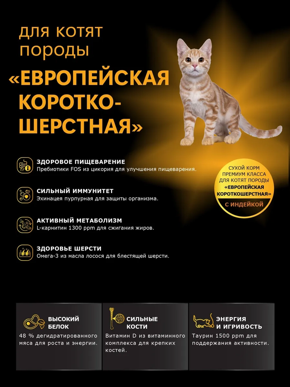 Корм для котят Европейская короткошёрстная индейка 2кг