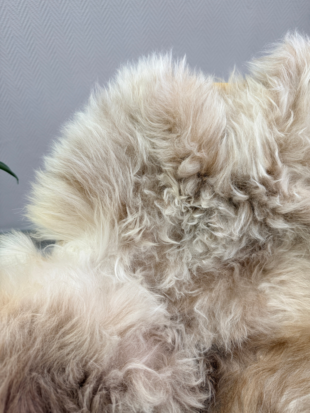 Шкура коврик меховой прикроватный овчина, 120х65 см.